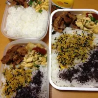 Snapdishの料理写真:男子三人分弁当|asshiさん