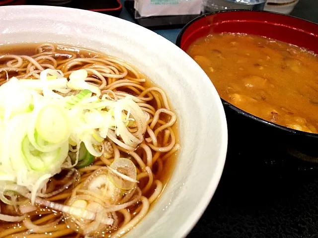 お蕎麦と、カレー丼|Agaricusさん