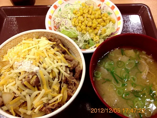 Snapdishの料理写真:三種のチーズ盛り牛丼、豚汁サラダ|るみおんさん