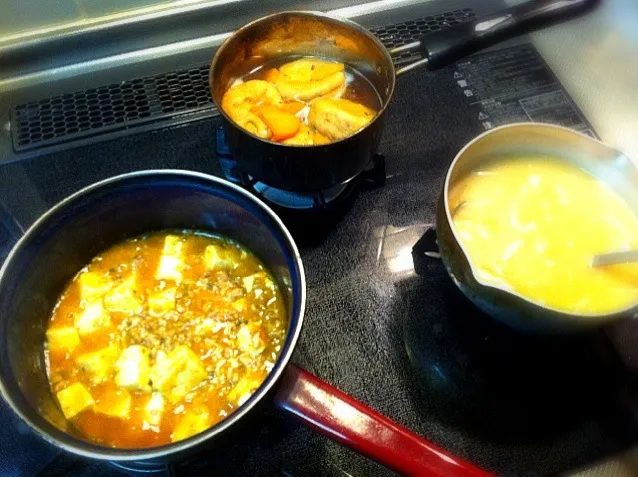 本日のお夕飯。麻婆豆腐、がんもどきの煮物、サラダ、ご飯、お味噌汁。|Hitomi Seyaさん