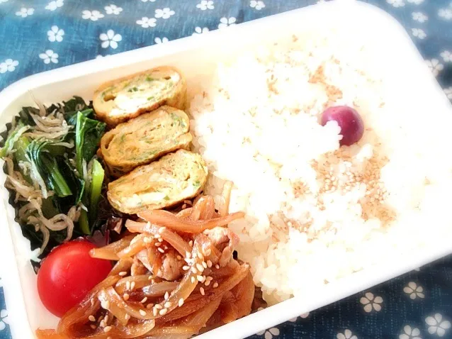 Snapdishの料理写真:12月5日 お弁当|emiさん