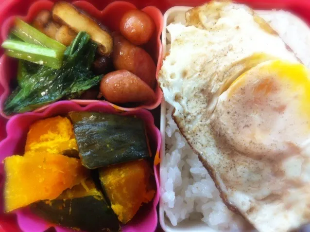 南瓜の煮物と小松菜とソーセージ炒め弁当|もえさん