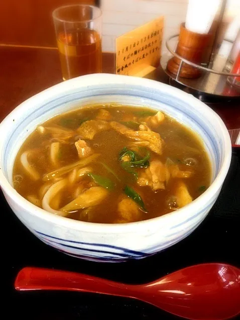 Snapdishの料理写真:カレーうどぅんw|トッシ~さん