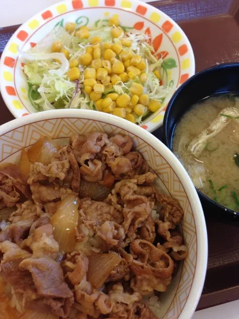 Snapdishの料理写真:牛丼(並)サラダセット 710kcal 380→350円|Shigechika AIKAWAさん