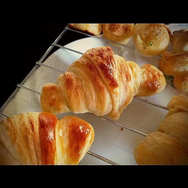 クロワッサン(*^o^*)|ぴんこさん