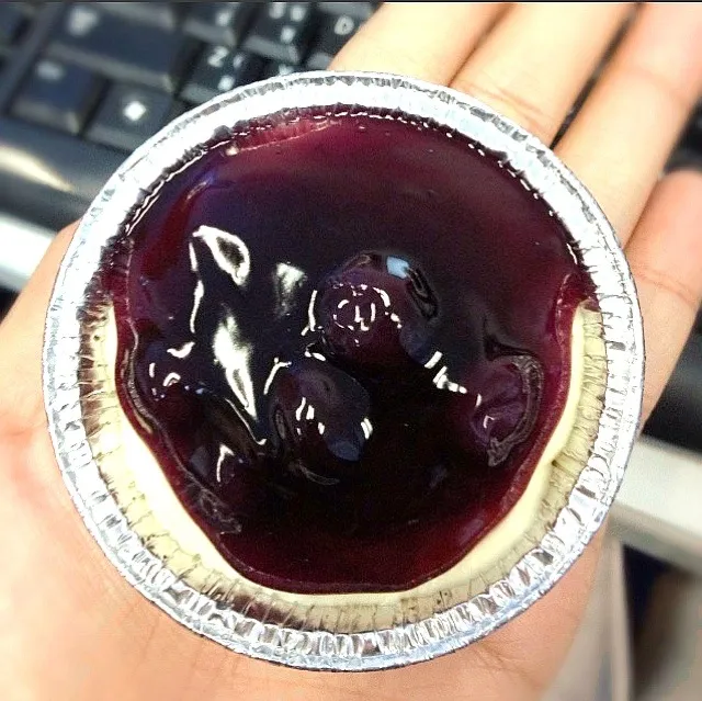 <( Mini Blueberry Cheesecake )>|ponder.wonderさん