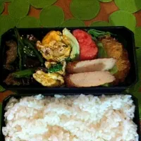 Snapdishの料理写真:海老カツ明太子インゲン肉炒め弁当|南裕子さん