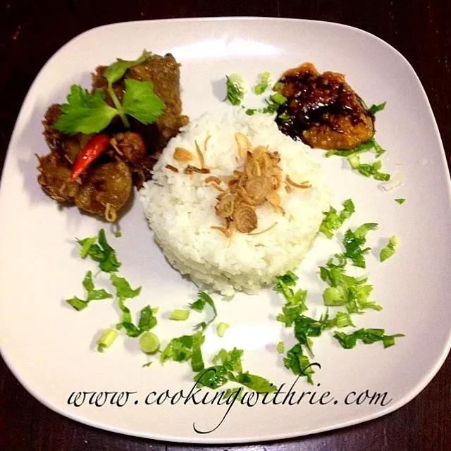 Beef Rendang / Indonesian Beef Stew with Coconut Milk Gravy served with White Rice and Sambal|rie simsさん