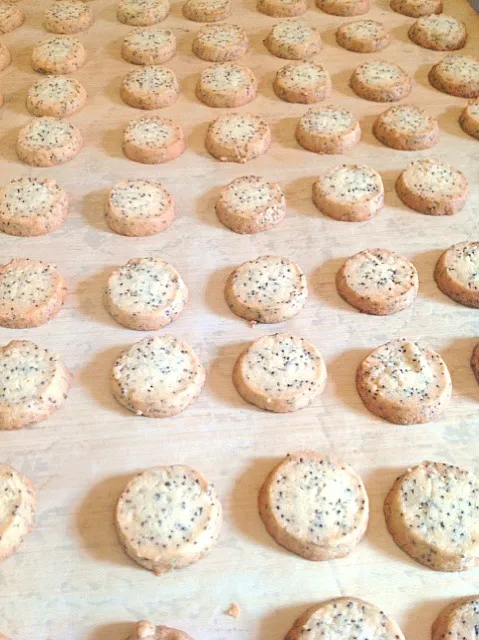 Lemon poppyseed biscuits|ptr ywnさん