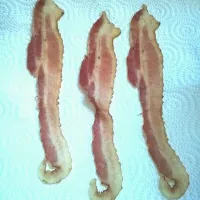 seahorse bacon :)|martha jeffersonさん