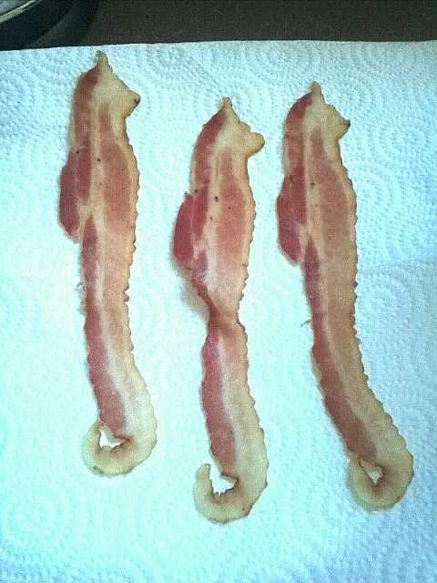 seahorse bacon :)|martha jeffersonさん