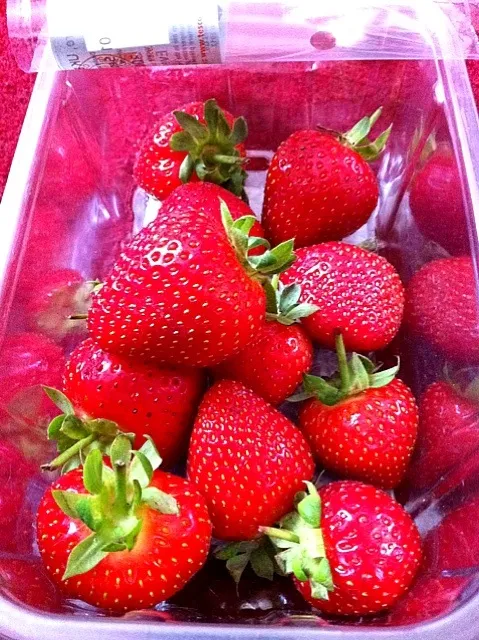 Snapdishの料理写真:Big Sweet Strawberries|Cindy Chanさん