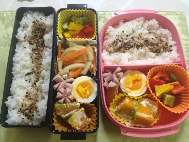 旦那さんと私のお弁当|はちーさん