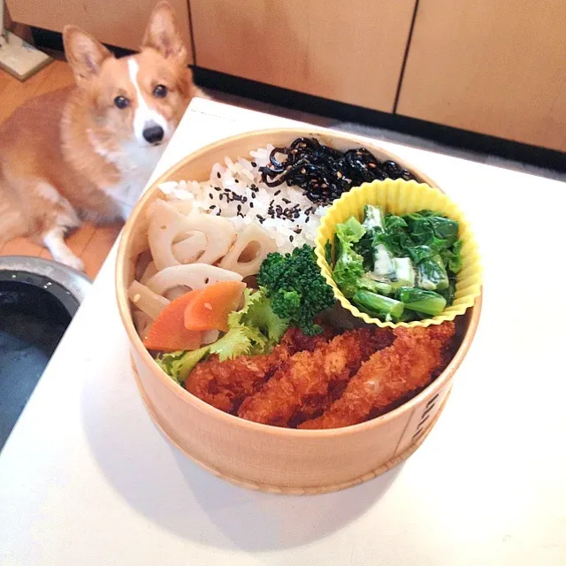 Snapdishの料理写真:チキンカツ♡根菜のきんぴら弁当|＊さくら＊さん