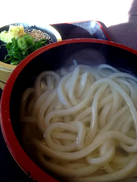 讃岐うどん|さつきさん