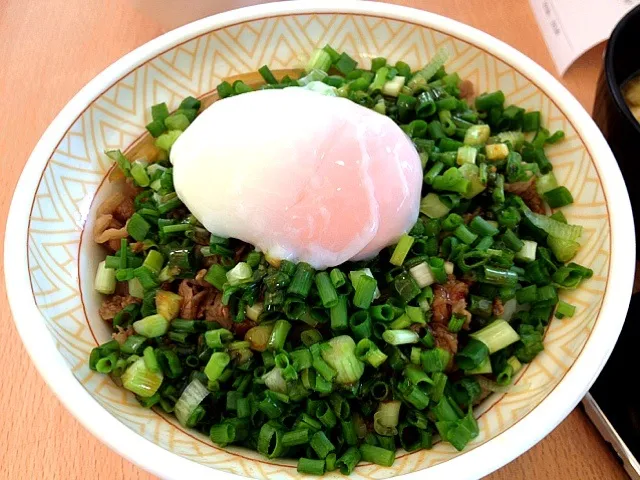 Beef bowl with hot sping egg and leek:)|Watashiさん