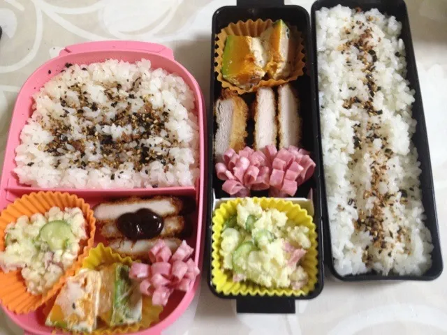 今日の夫婦お弁当|はちーさん