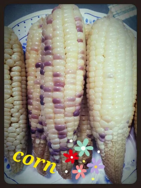 sweet corn|Boommy Boomさん