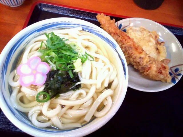 高松・麺処綿谷のかけうどんと鶏天、げそ天|すーさん