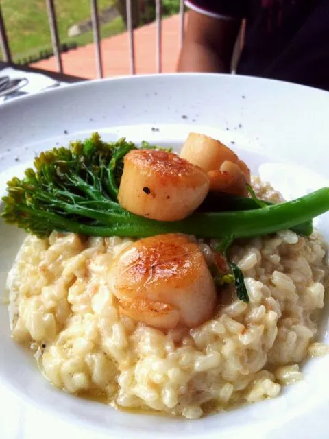 Creamy Risotto|WHさん