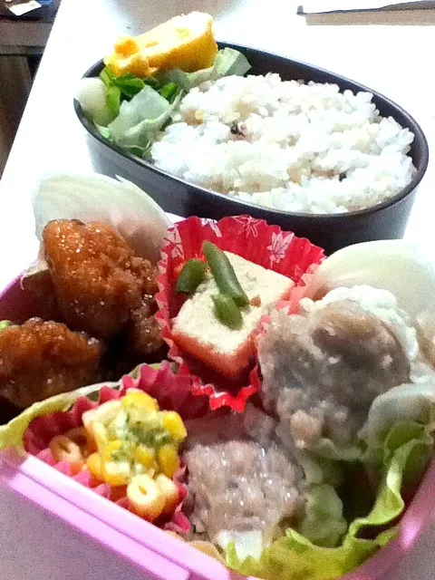 おれの弁当(蓋で押し込める技習得^^;)|ずいさん