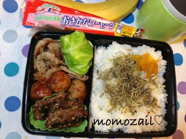 Snapdishの料理写真:高３食べ盛り息子 パリパリじゃこ飯弁当|けいちゃん（ももザィル）さん