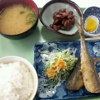 Snapdishの料理写真:山口短期大学 日替500円 おかわり自由|さとしさん