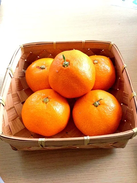 こたつでみかん🍊😳|Qooさん