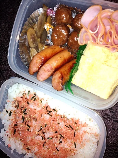 Snapdishの料理写真:シンプルお弁当|emiさん