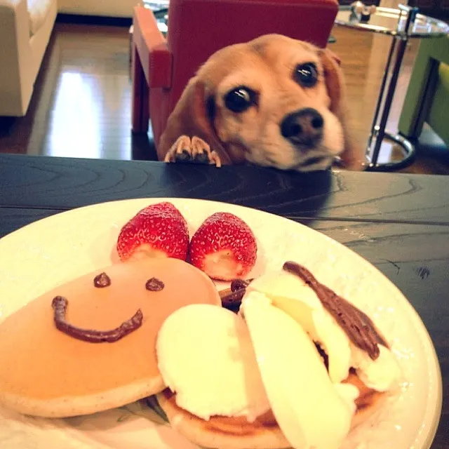 Snapdishの料理写真:|きめさん