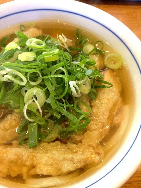 福岡ウエストのごぼう天うどん(^^)|kossyossさん