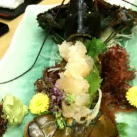 Snapdishの料理写真:Lobster sashimi <3 it was exquisite!!!|Rikka Lynnさん