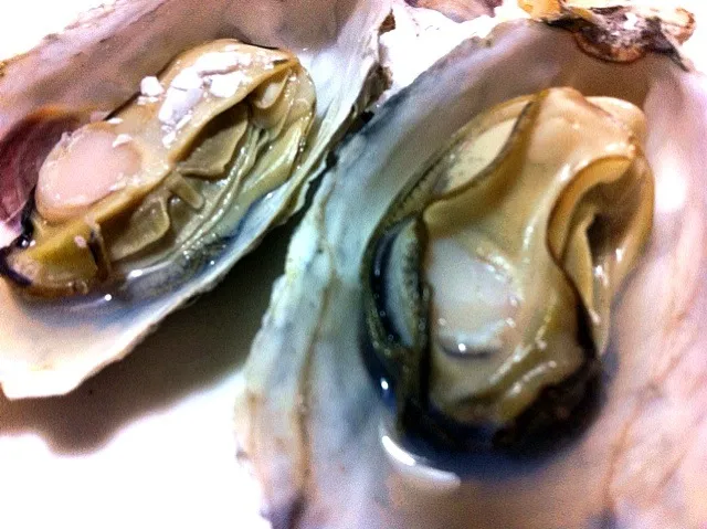 かき|ももみさん