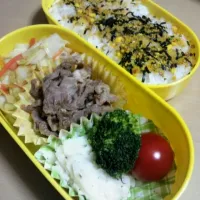 Snapdishの料理写真:今日のお弁当