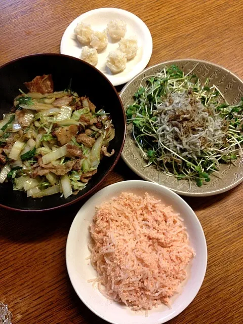 ★白菜と豚の炒めもん★たらこ白滝★カイワレじゃけ★冷凍シュウマイ|三宅 里美さん