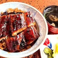 今までで一番美味しかった鰻丼|おひさまさんさんさん