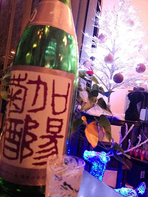 Aperitif☆食前酒?! 『加陽菊酒』（かよう・きくざけ）|🌈Ami🍻さん