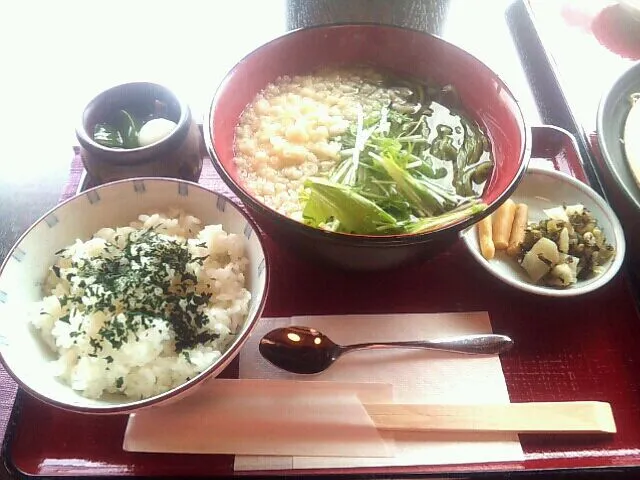 宇治抹茶うどん|まいさん