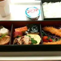 人間ドックの弁当|なごやんさん