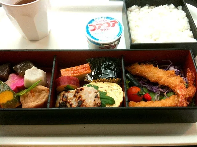 人間ドックの弁当|なごやんさん