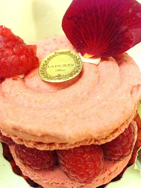 Snapdishの料理写真:Ispahan|willklhさん