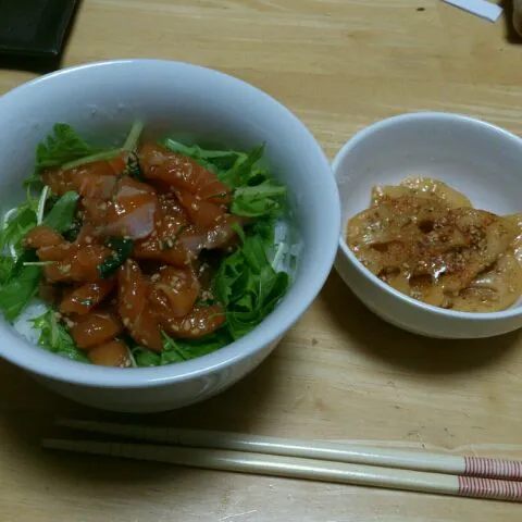 サーモンユッケの丼とれんんのきんぴら|茶々吉さん