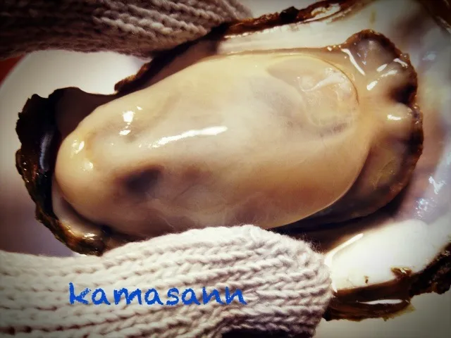 牡蠣！|かまさん