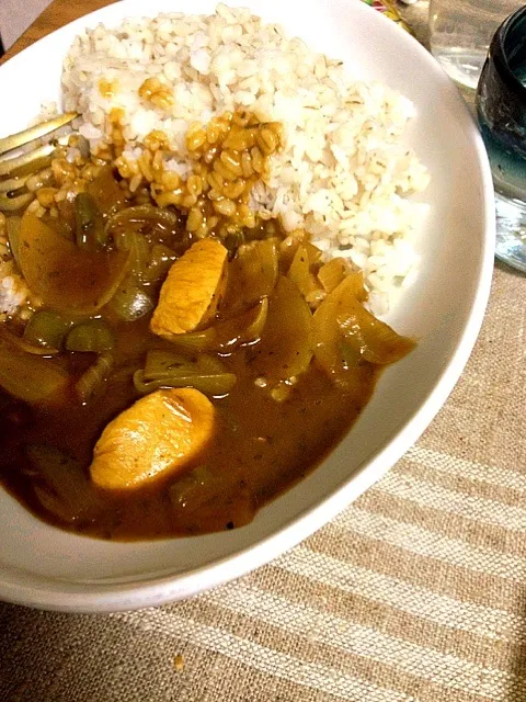 チキンカレー|なおきさん