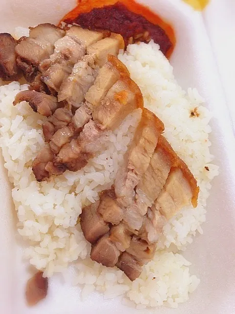 (🐖｡･ｪ･｡)烧肉饭🍚ｍm|🎀Kittyna🌸さん