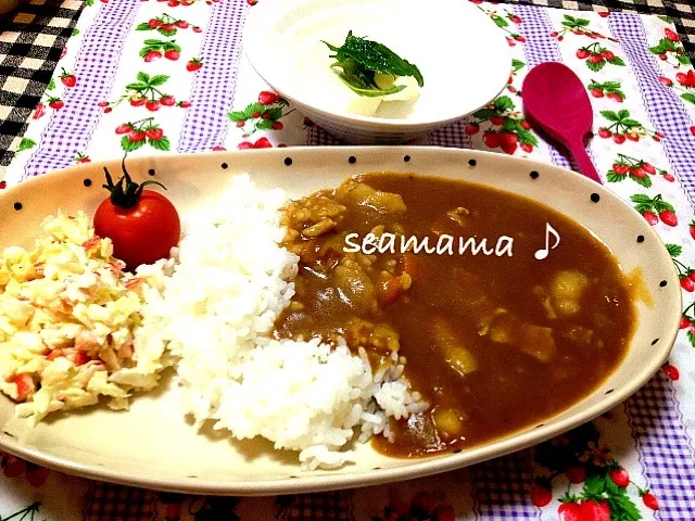 金曜はカレー曜日😁|seamama みささん