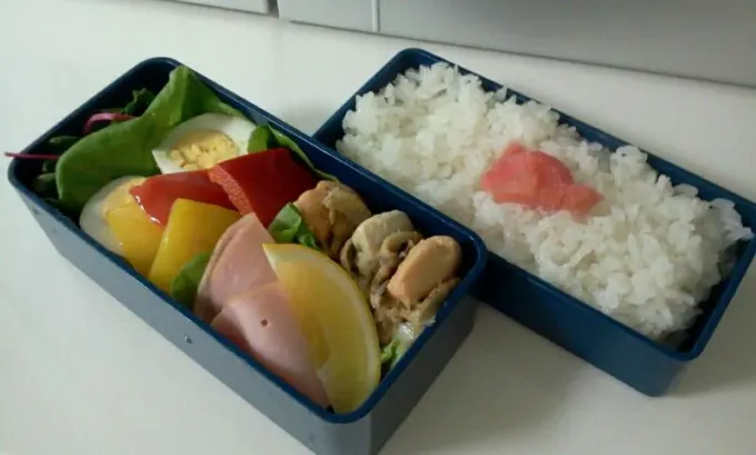 【今日の猫弁当】|梨花さん