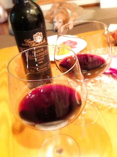 2008 Amarome Della Valpolicella Classico|sannyさん