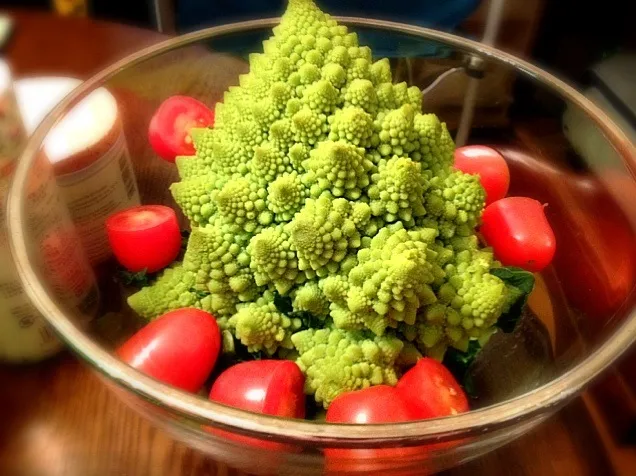 Romanesco Broccoli|Junya Tanakaさん