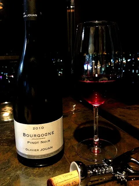 BOURGOGNE  2010  PINOT NOIR|ワインさん